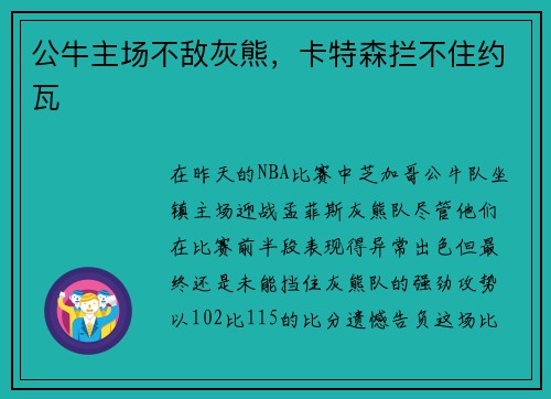公牛主场不敌灰熊，卡特森拦不住约瓦